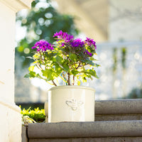 Bee Glazed Planter