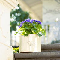 Bee Glazed Planter