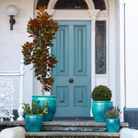 Holland Glazed Terracotta Planter
