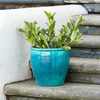 Holland Glazed Terracotta Planter