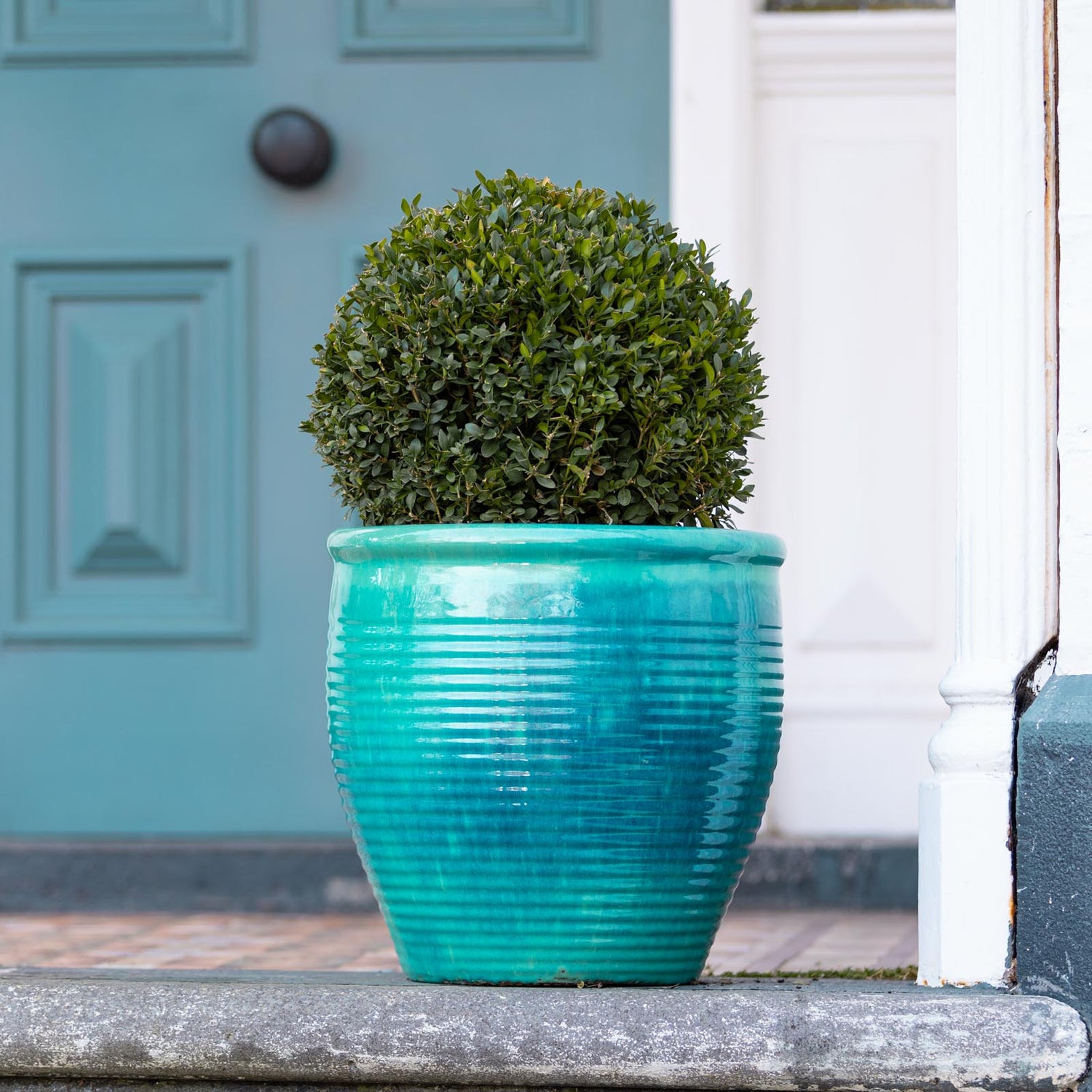 Holland Glazed Terracotta Planter
