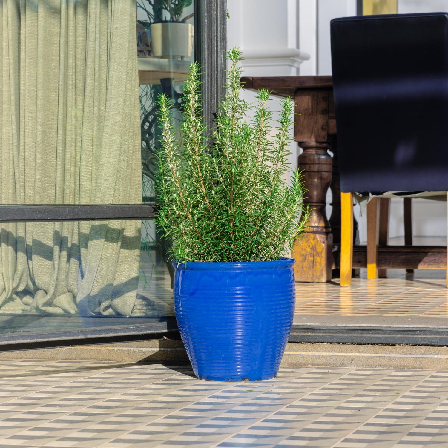 Holland Glazed Terracotta Planter