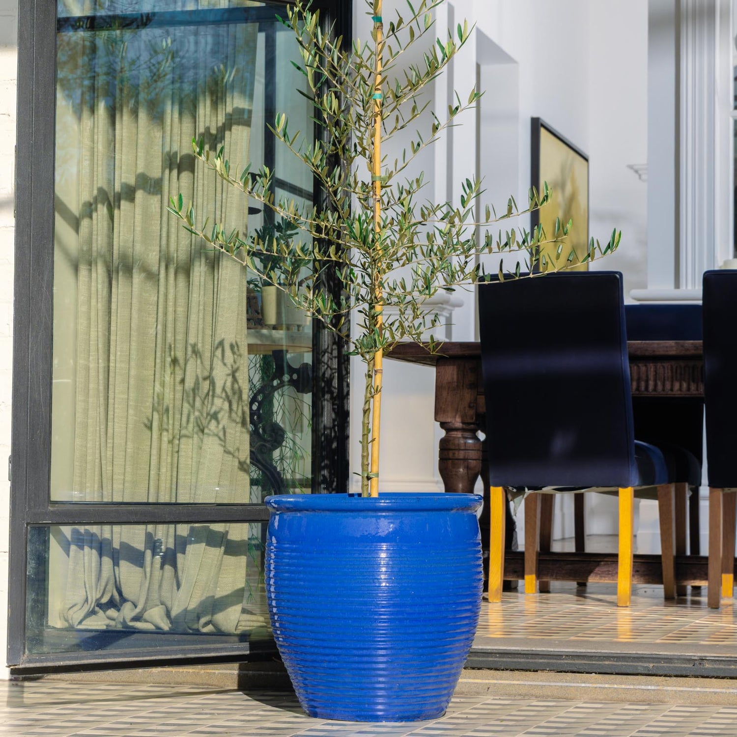 Holland Glazed Terracotta Planter