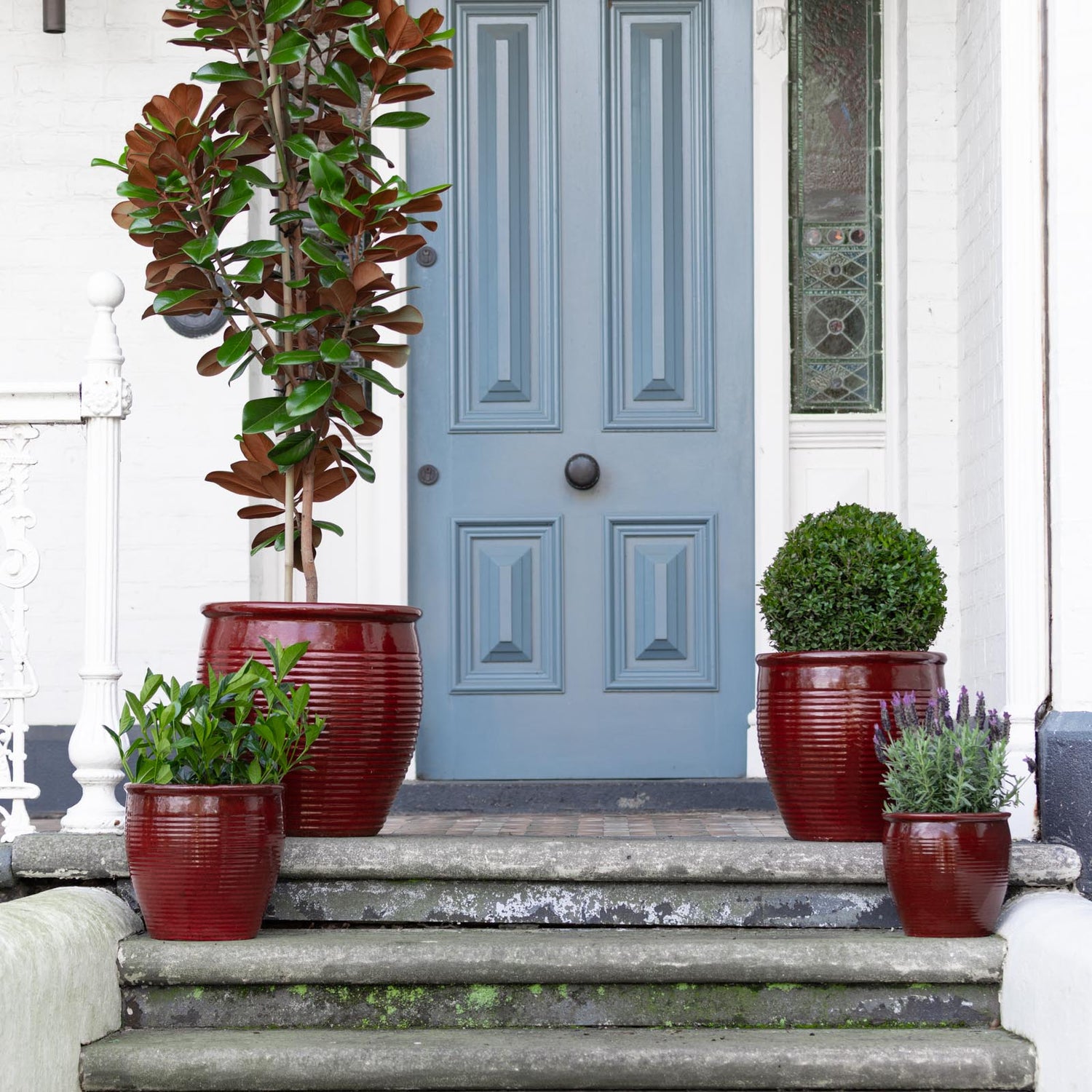 Holland Glazed Terracotta Planter