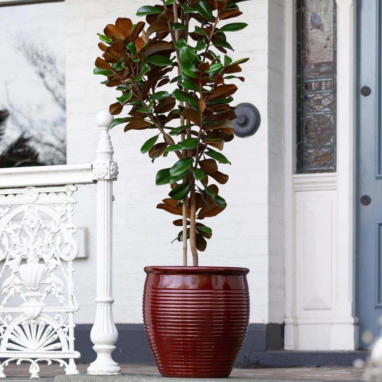 Holland Glazed Terracotta Planter