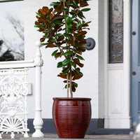 Holland Glazed Terracotta Planter