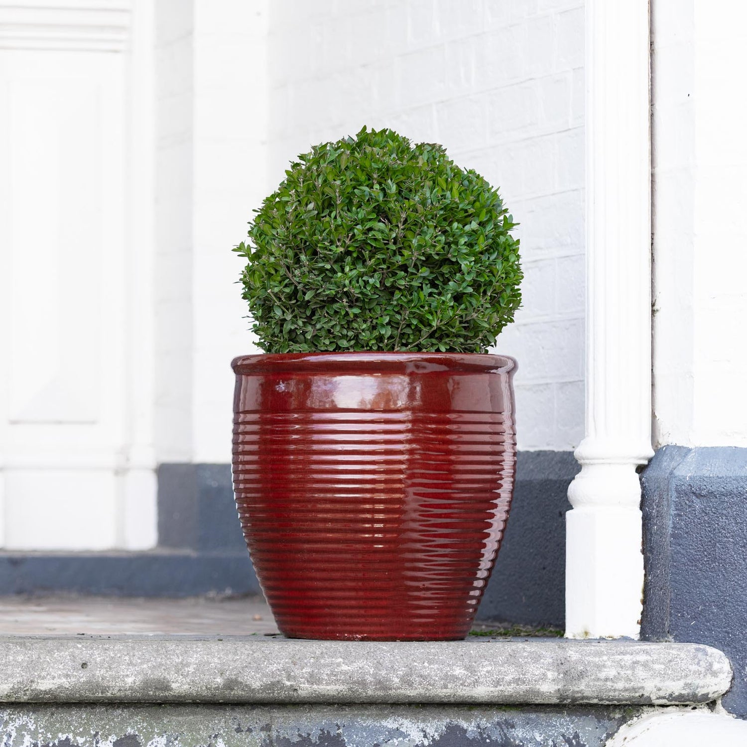 Holland Glazed Terracotta Planter