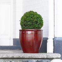 Holland Glazed Terracotta Planter
