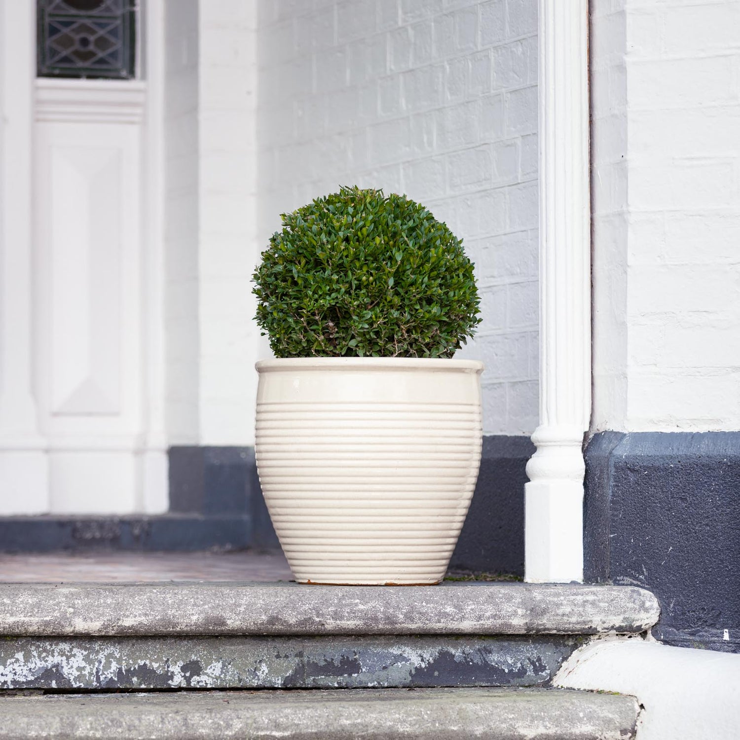 Holland Glazed Terracotta Planter