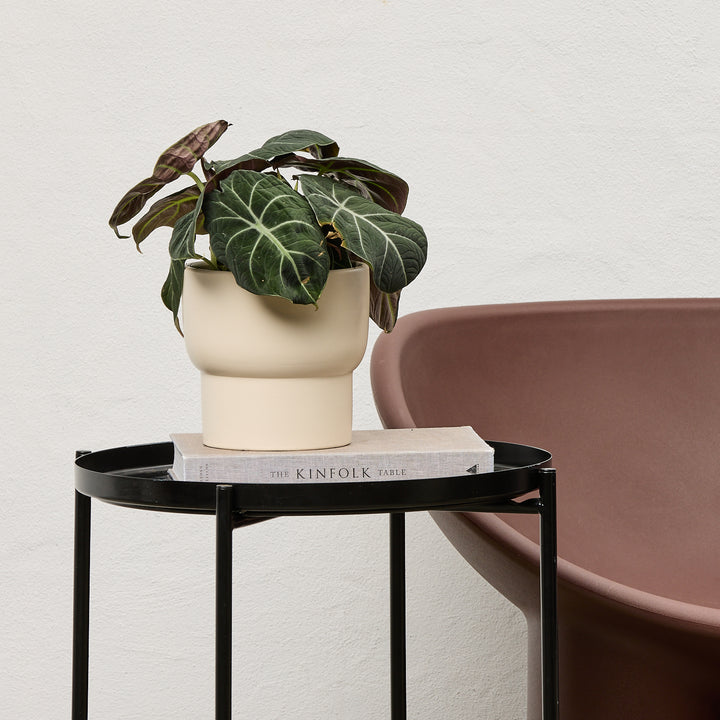 Toby Cylinder Pot