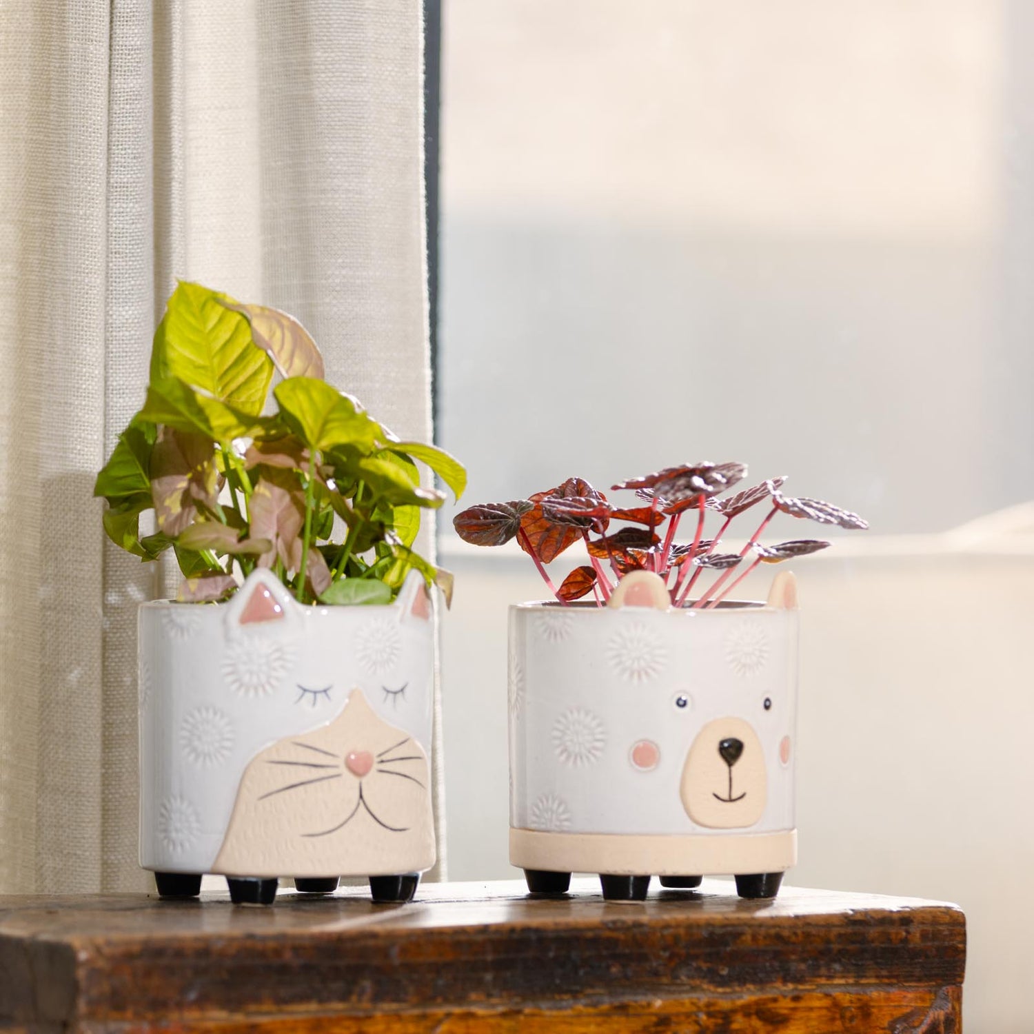 Bear Ornamental Pot