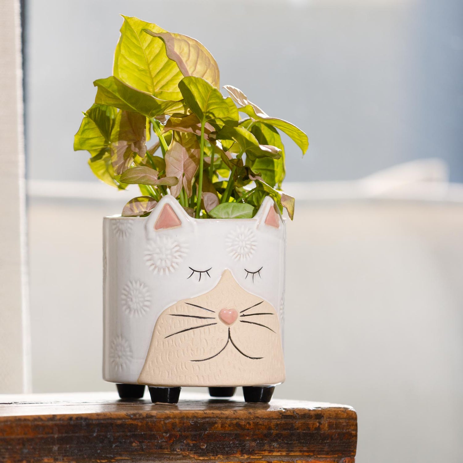 Cat Ornamental Pot