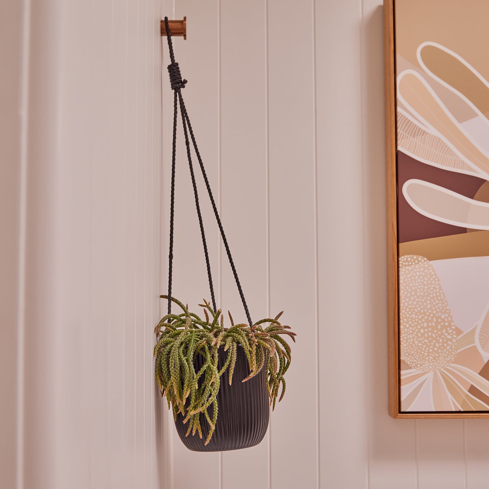 hanging plant pots wilko Paloma Indoor Hanging Pot – Northcote Pottery