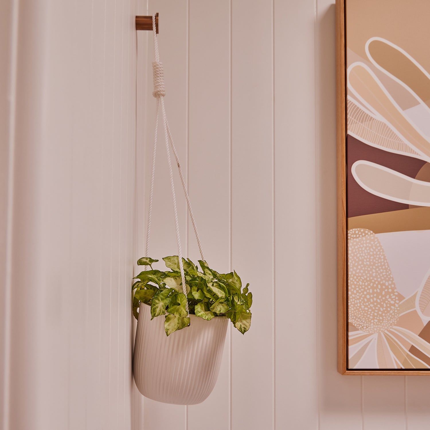 Paloma Hanging Pot