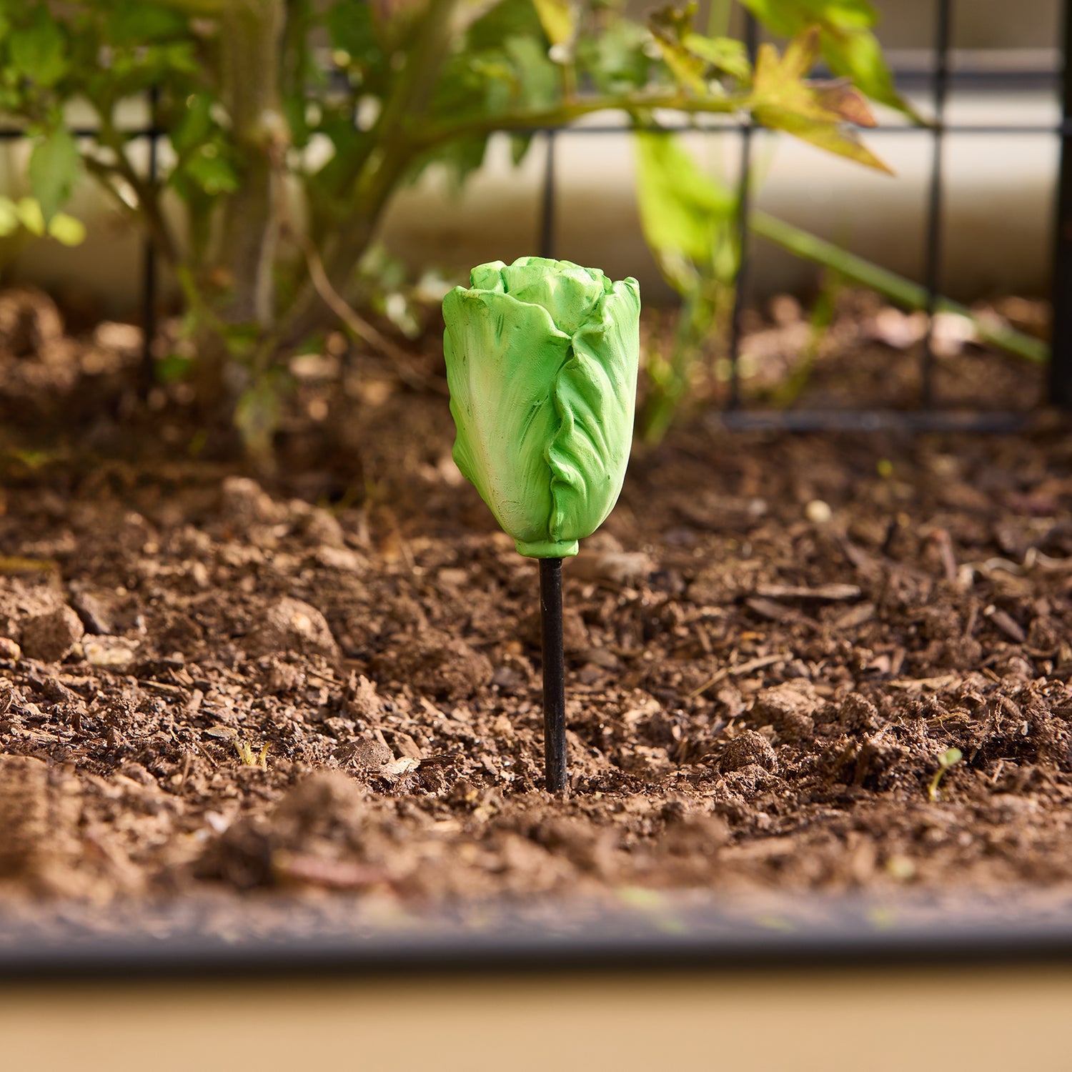 Lettuce Garden Stake