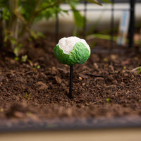 Cauliflower Garden Stake