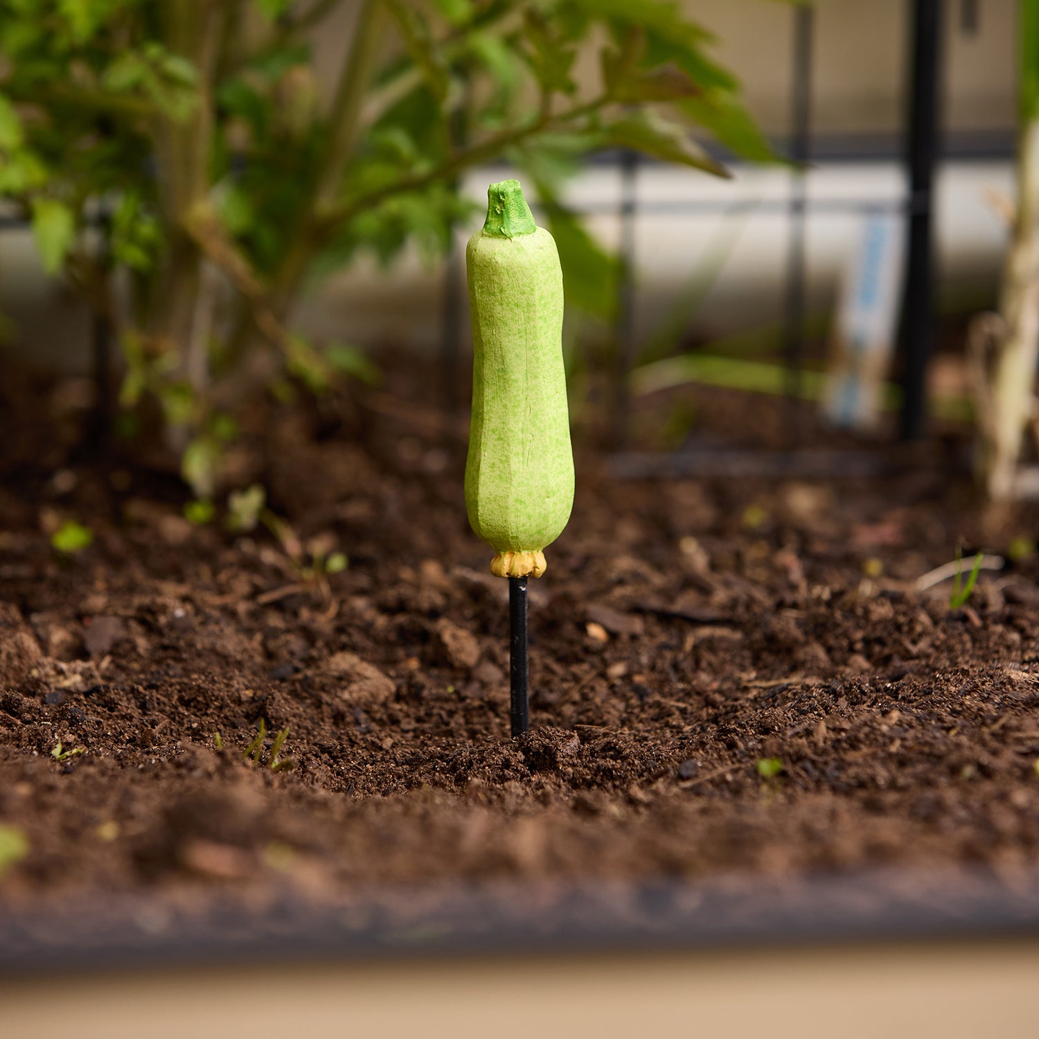 Zucchini Garden Stake