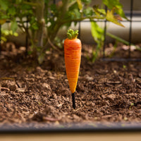 Carrot Garden Stake