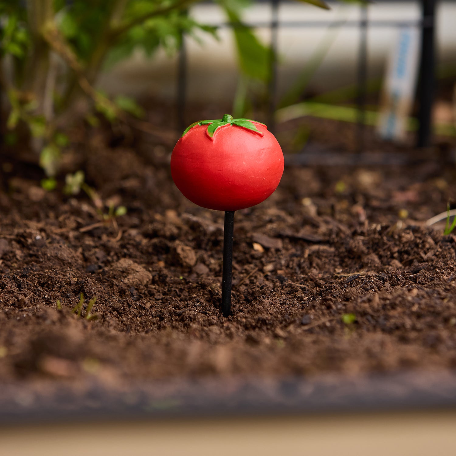 Tomato Garden Stake