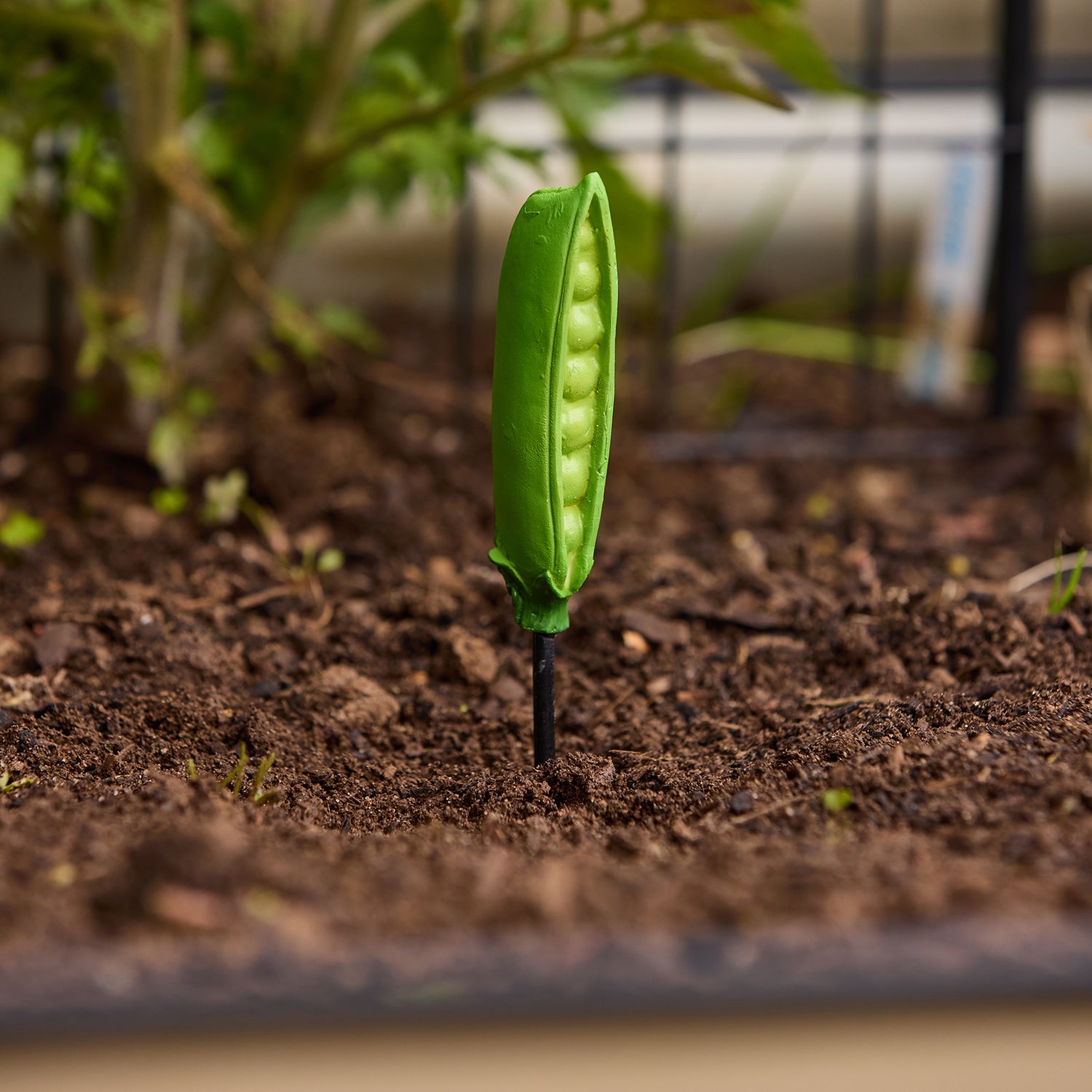 Peas Garden Stake