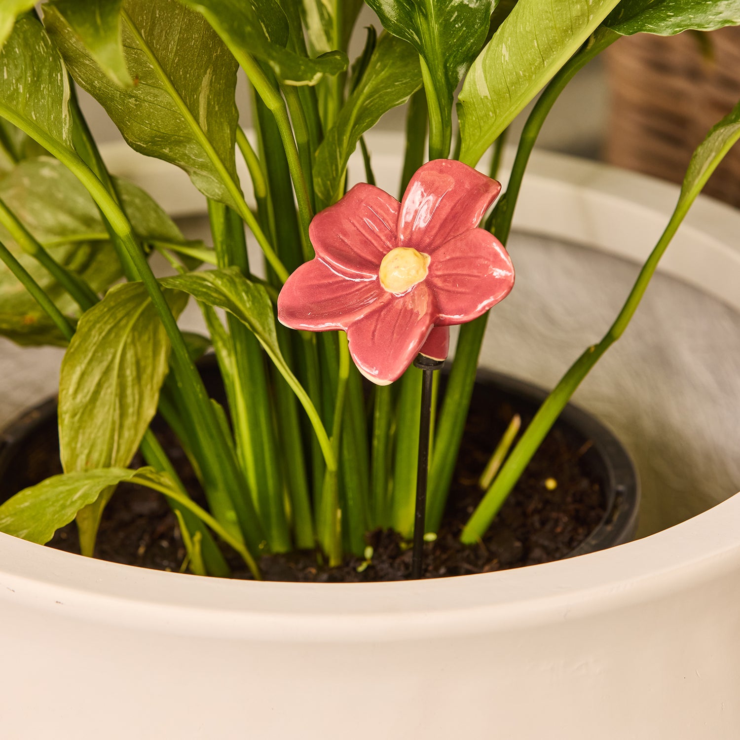 Primrose Flower Decorative Garden Stake