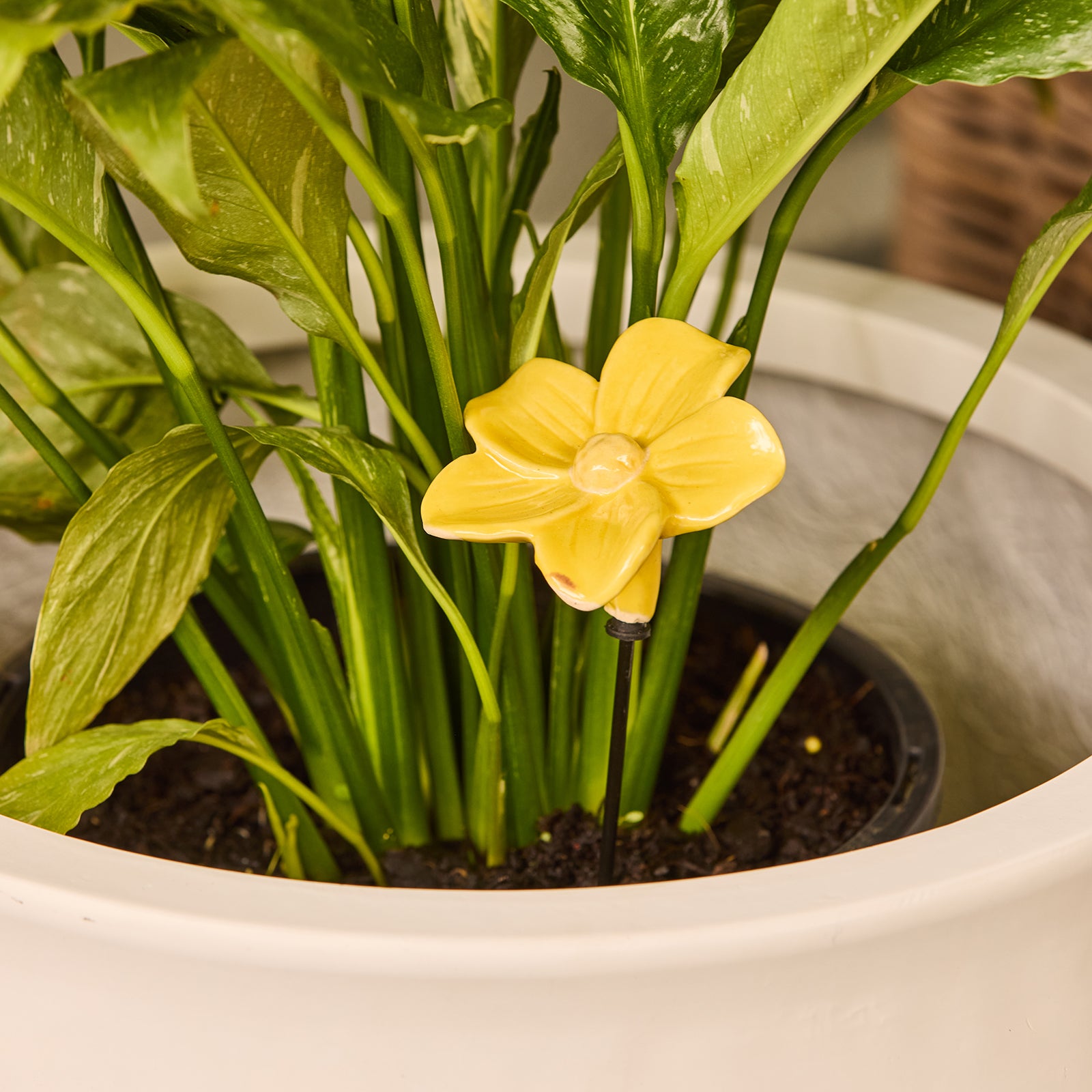 primrose indoor plant pots Primrose Flower Decorative Garden Stake – Northcote Pottery