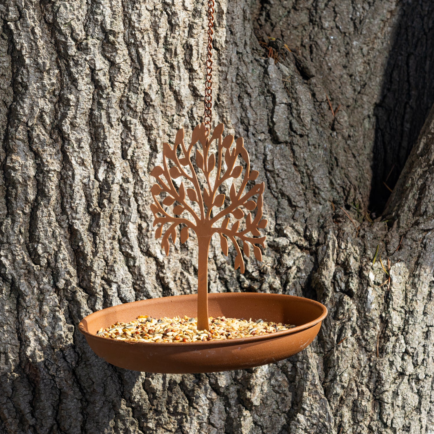 Hanging Bird Feeder