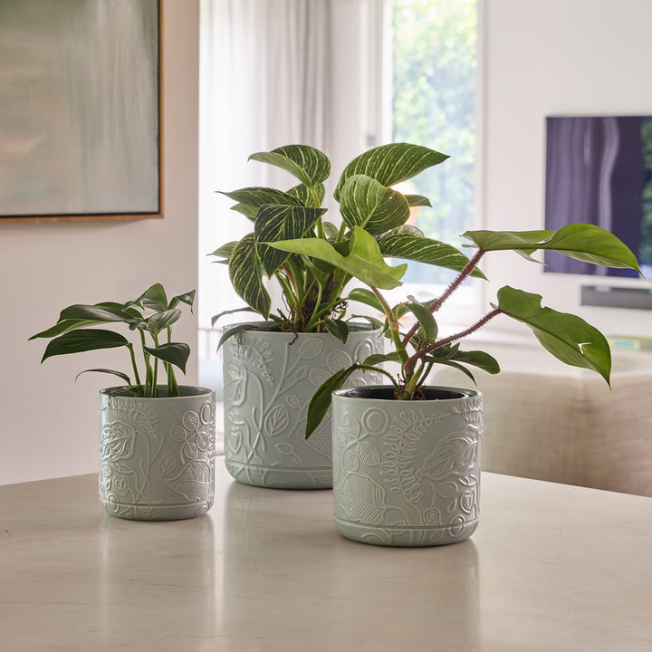 Spring Cylinder Pot