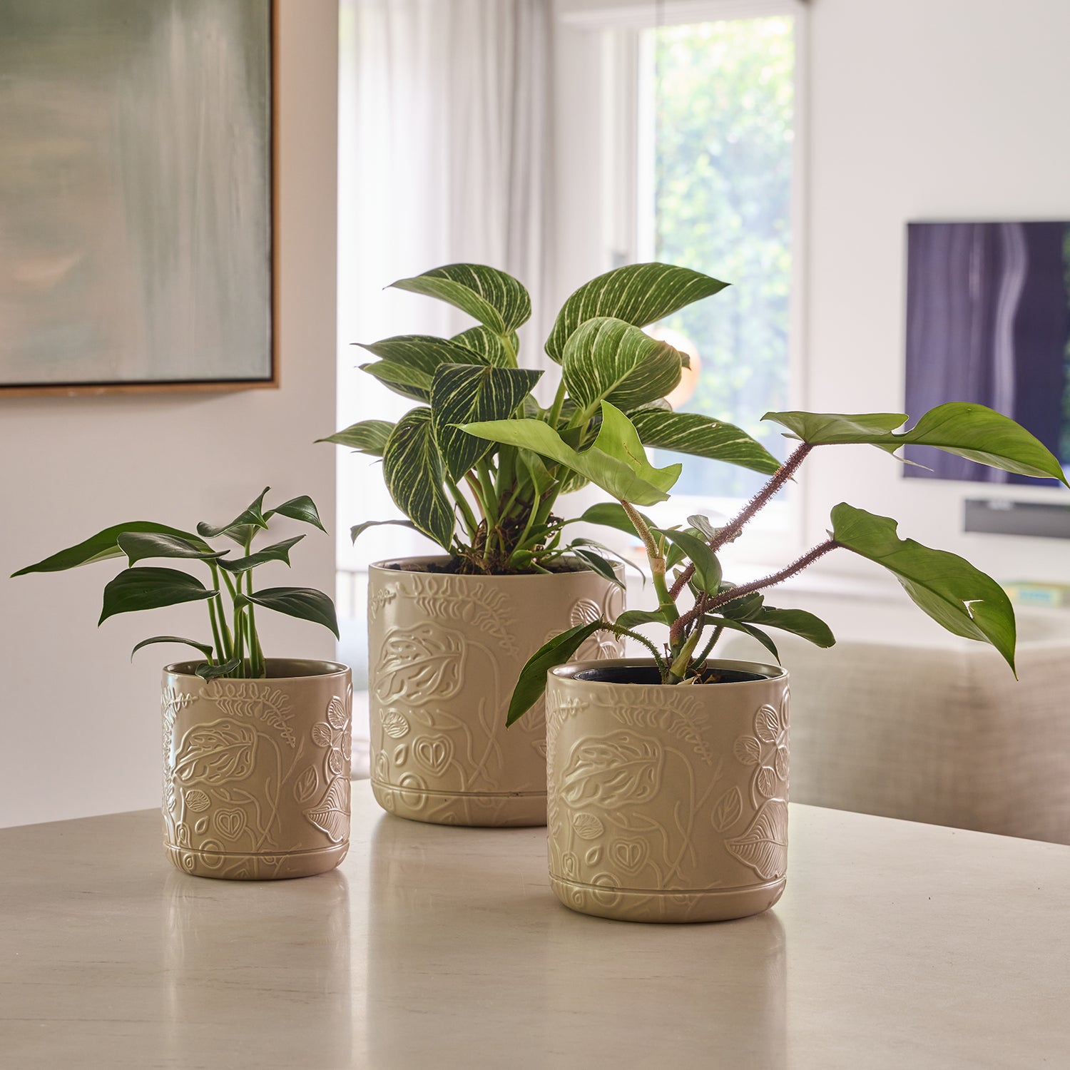 Spring Cylinder Pot