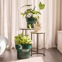 Botany Pedestal Pot