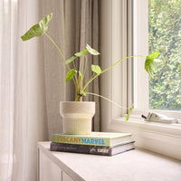 Botany Pedestal Pot