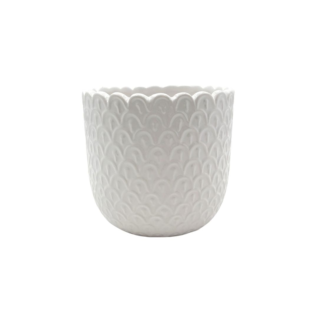 Nova Egg Pot