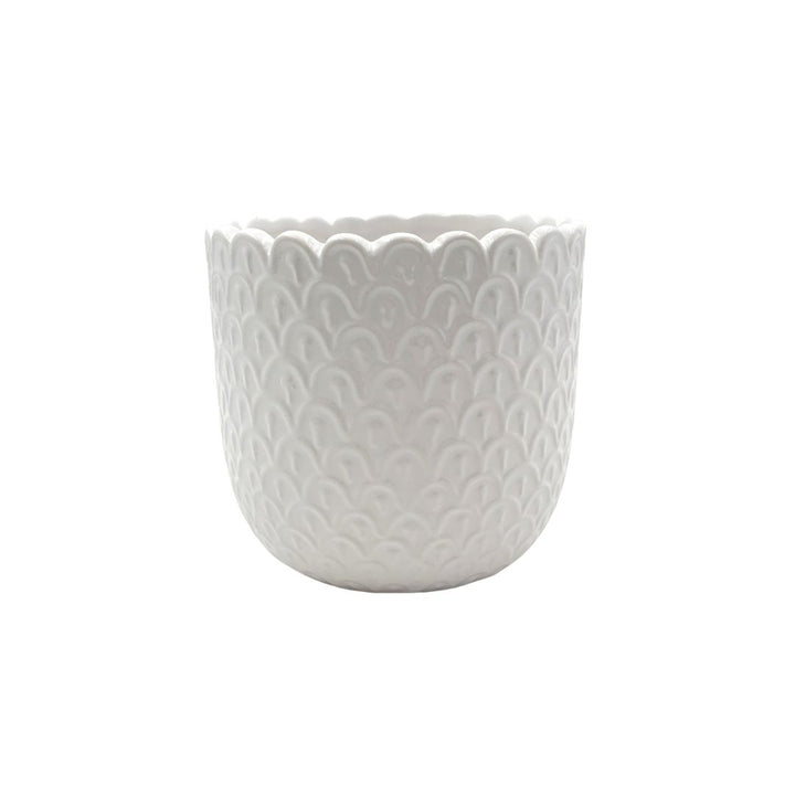 Nova Egg Pot