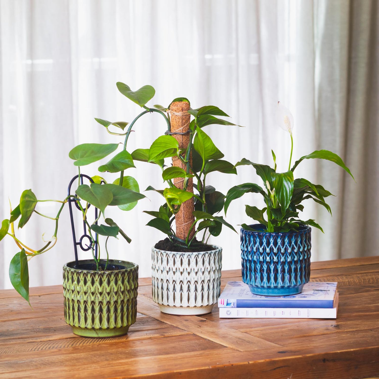 Felix Cylinder Pot