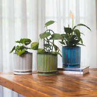 Louis Cylinder Pot With Saucer