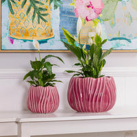 Tulip Round Pot