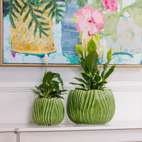 Tulip Round Pot