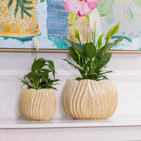 Tulip Round Pot