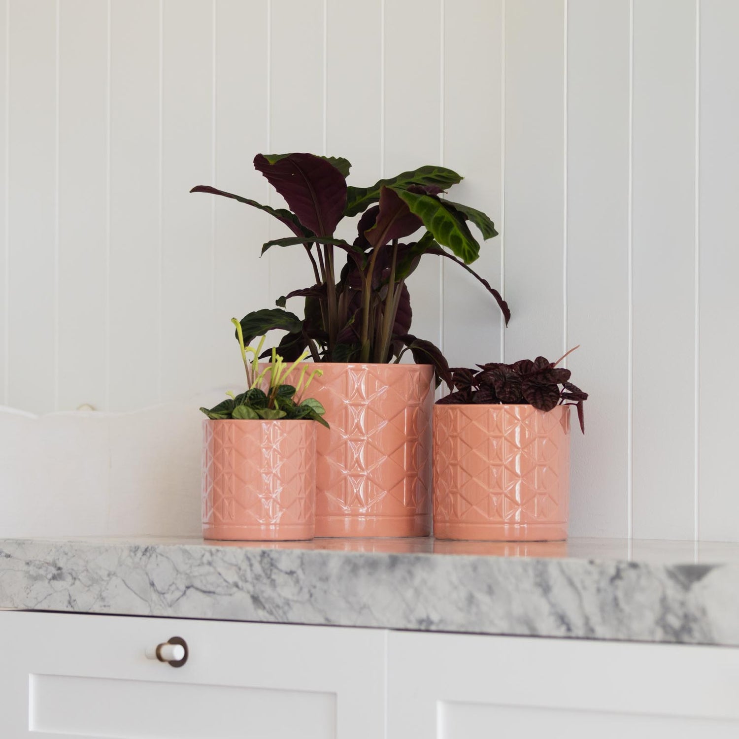 Eden Cylinder Pot