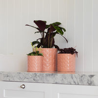 Eden Cylinder Pot