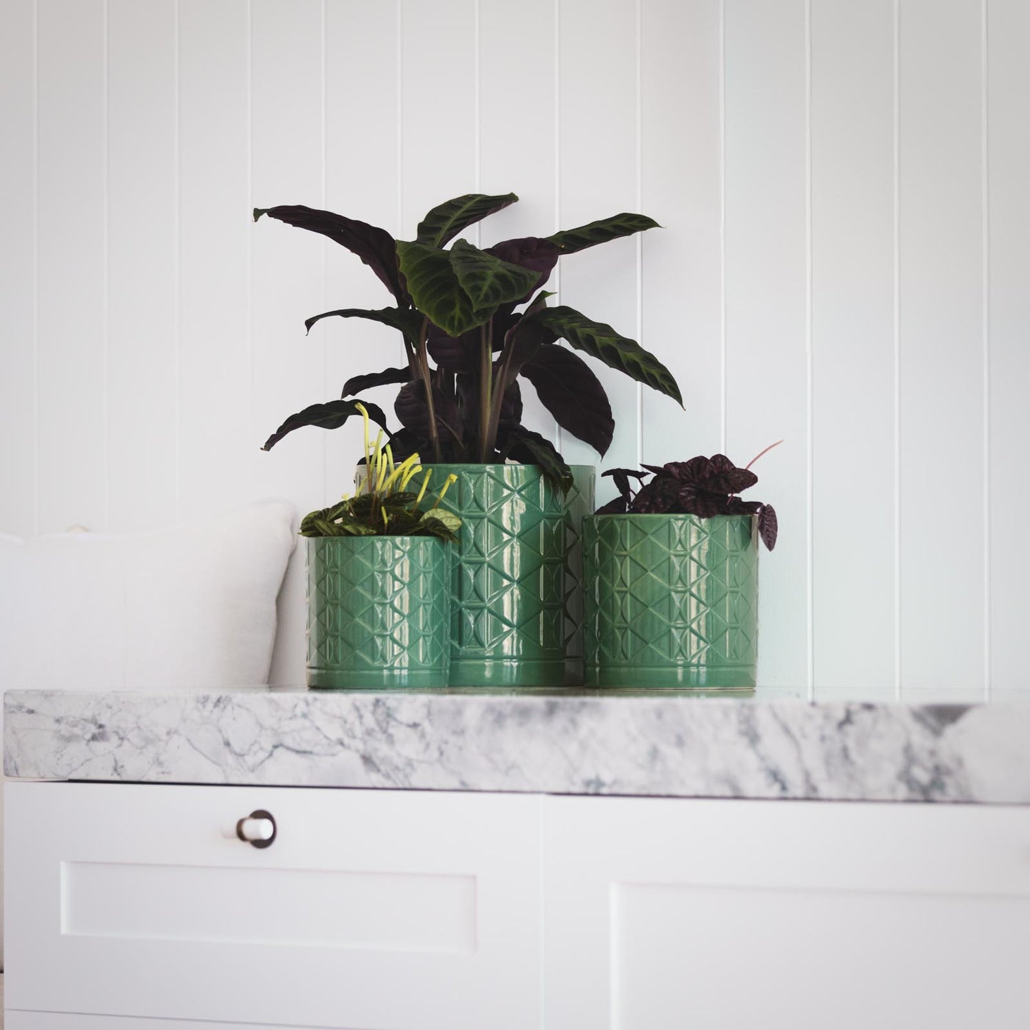 Eden Cylinder Pot