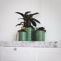 Eden Cylinder Pot