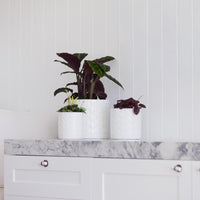 Eden Cylinder Pot
