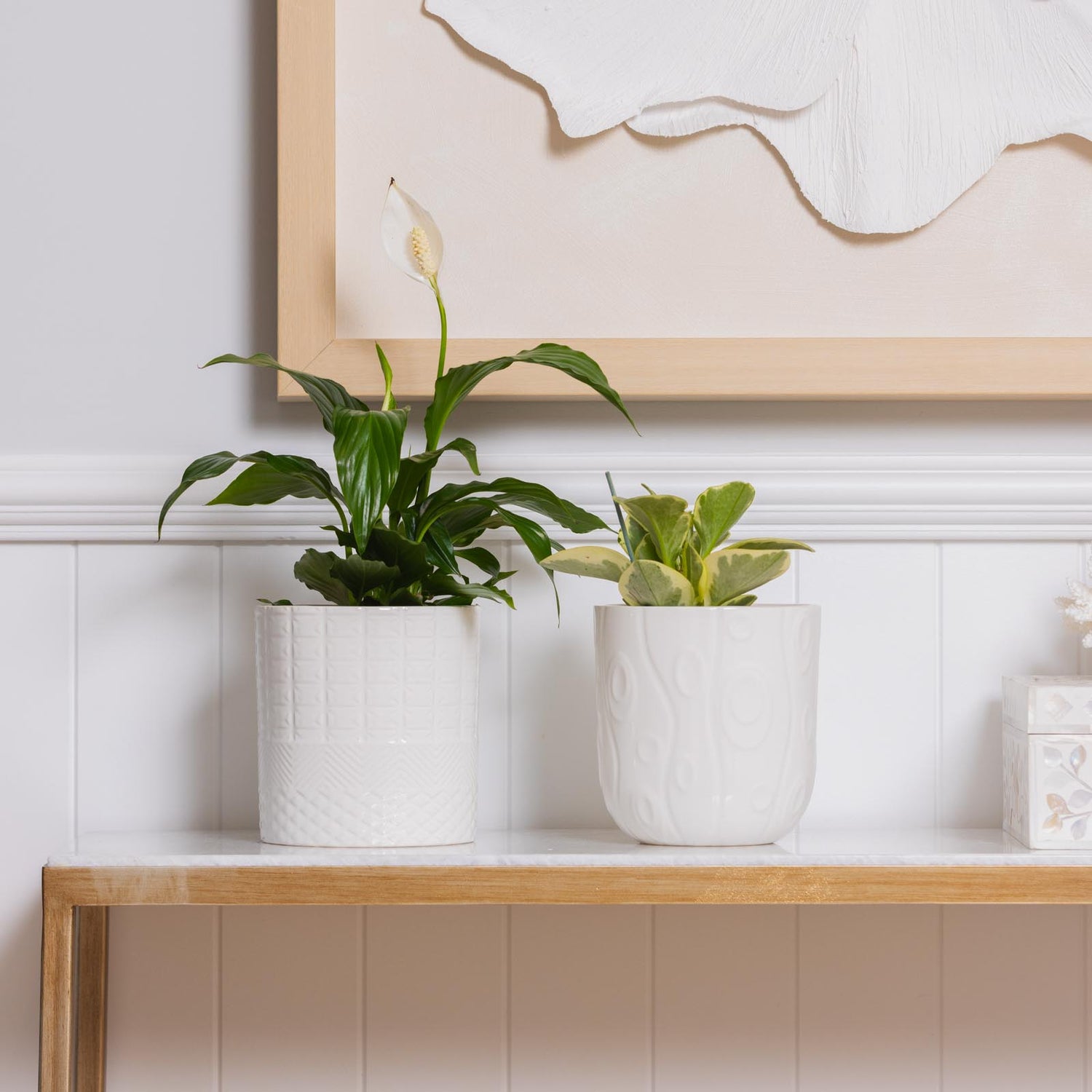 Aria Indoor Pot