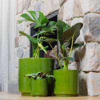 Farah Tapered Cylinder Pot