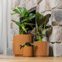 Farah Tapered Cylinder Pot