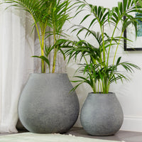 Dune Pod Pot