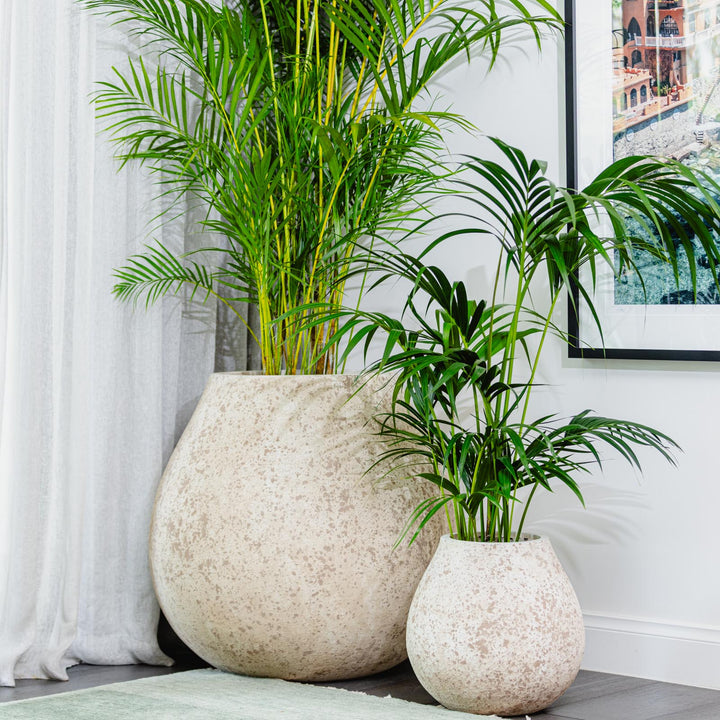 Dune Pod Pot