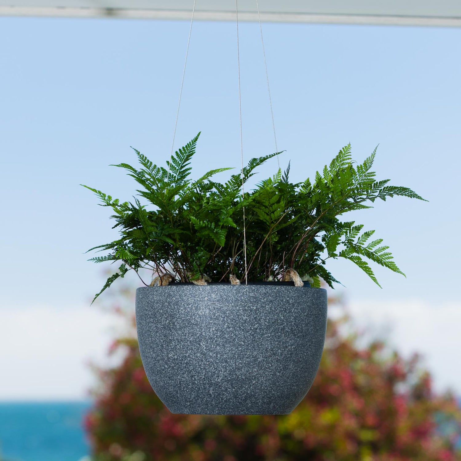 Alder Hanging Pot