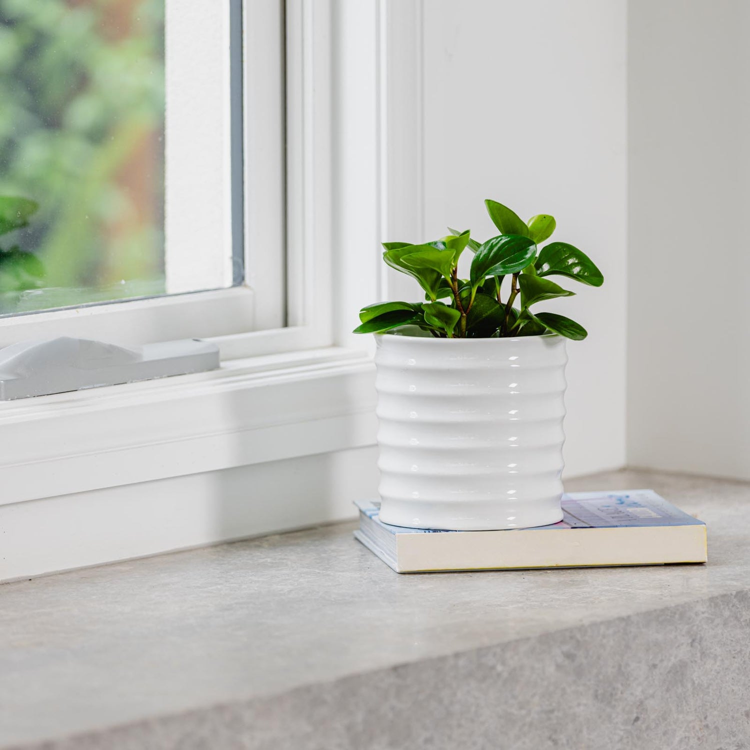Theo Cylinder Pot